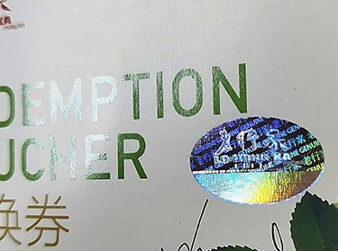 Security voucher with positioning hologram hot stamping