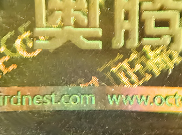 Hologram sticker with micro-text under magnifying glass