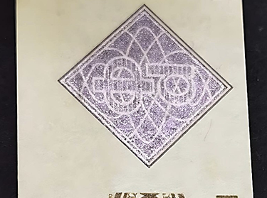 Optical variable ink on logo