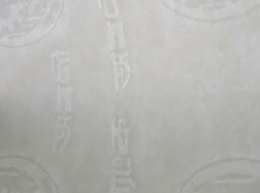 Security paper with customized watermark